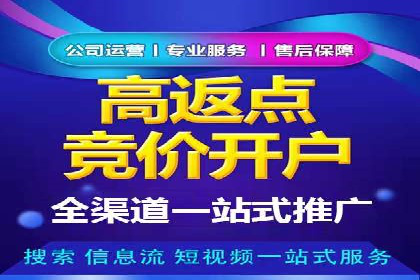 高效SEM竞价技巧，案例教学揭秘